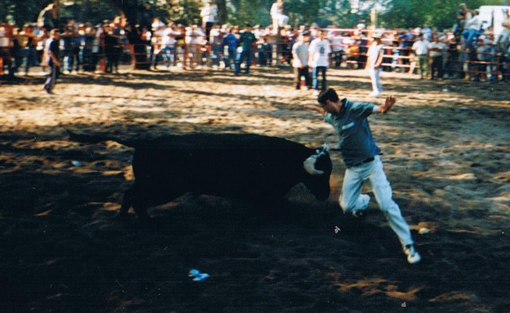 [sarilhospequenos2000.JPG]