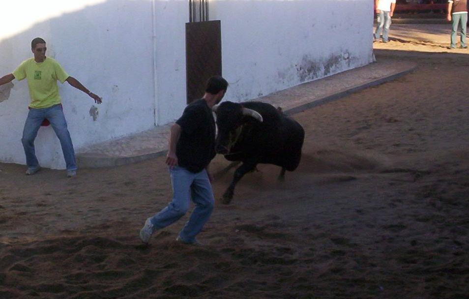 [samoracorreia2007.JPG]