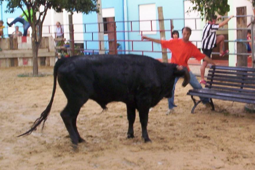 [Sem+títulohy76.JPG]
