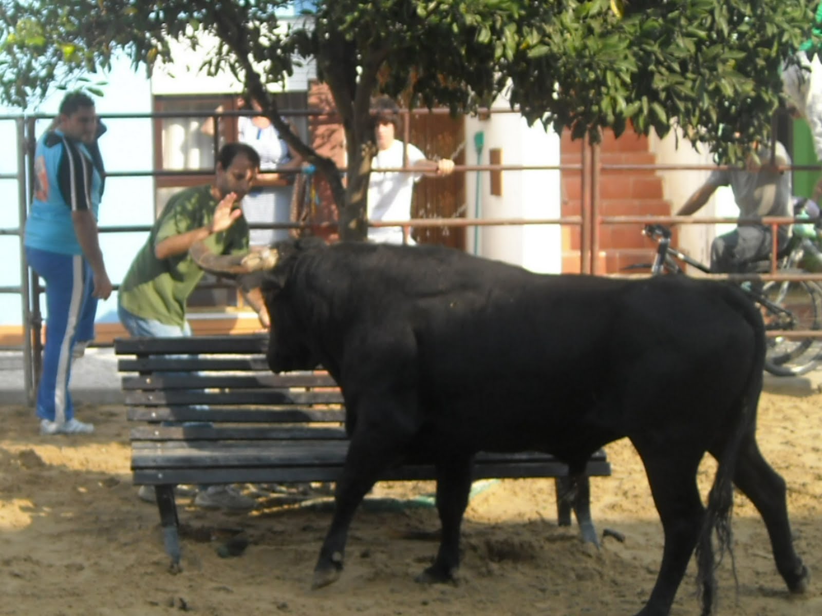 [RSCN2342.JPG]