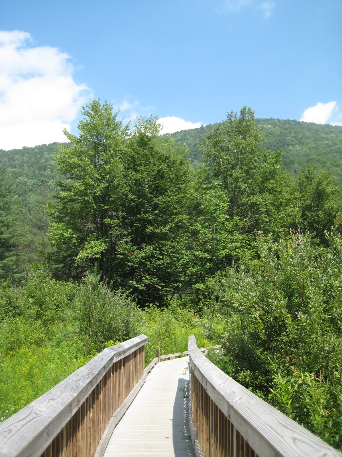 A Mom Writing Come Hike With Us. Green Mountain National Forest Killington, VT
