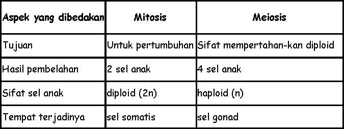 1.3. METABOLISME SEL
