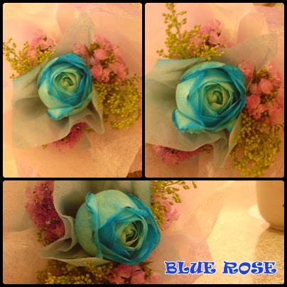 [BLUE+ROSE.jpg]