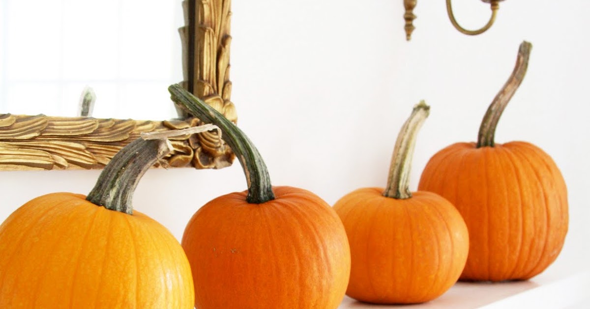 In the Fields Nesting Instincts