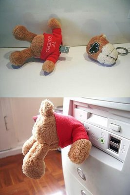 [Oso+pendrive.jpg]