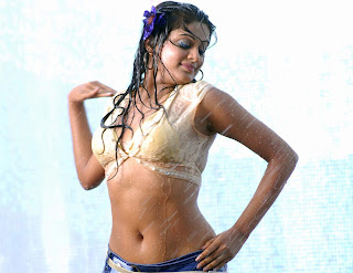 Priyamani, hot tamil actress, Priyamani's hot photos, hot photos of Priyamani, sexy Priyamani, kollywood actress Priyamani
