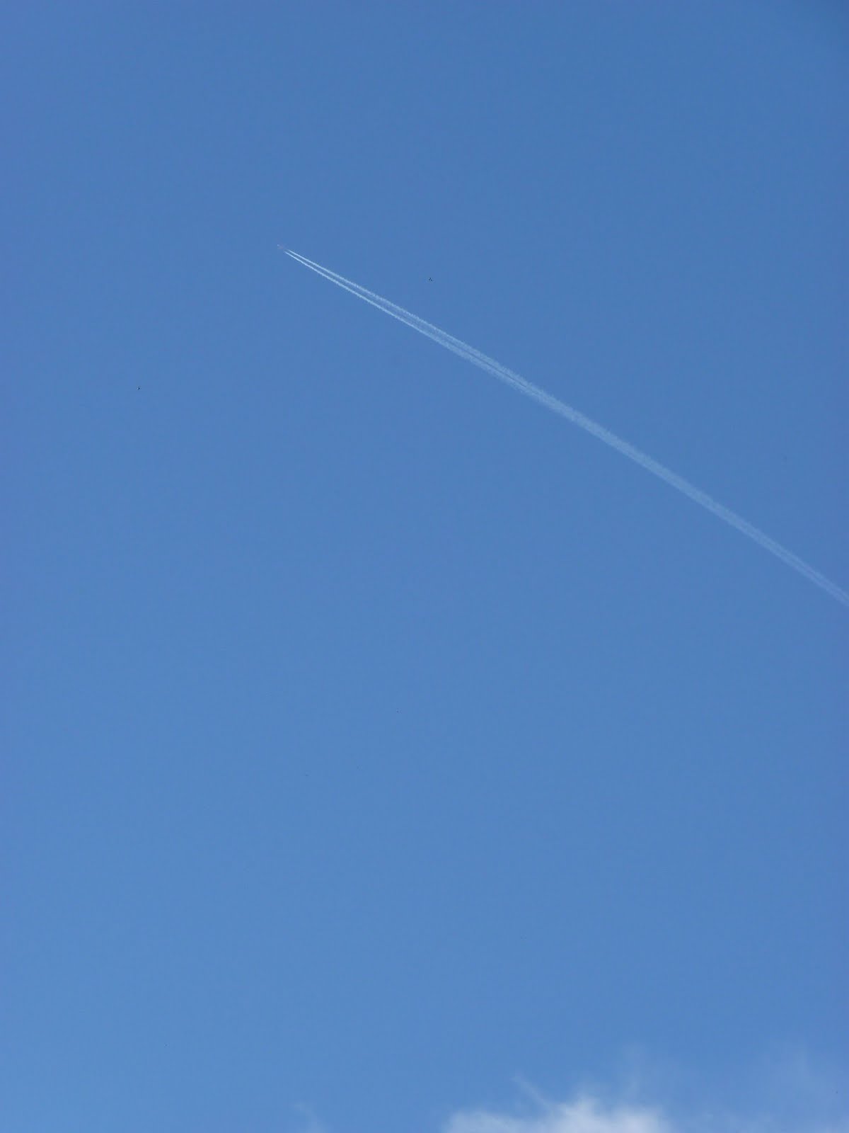 Plane Sky