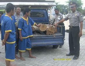 [63212KAYU.JPG]