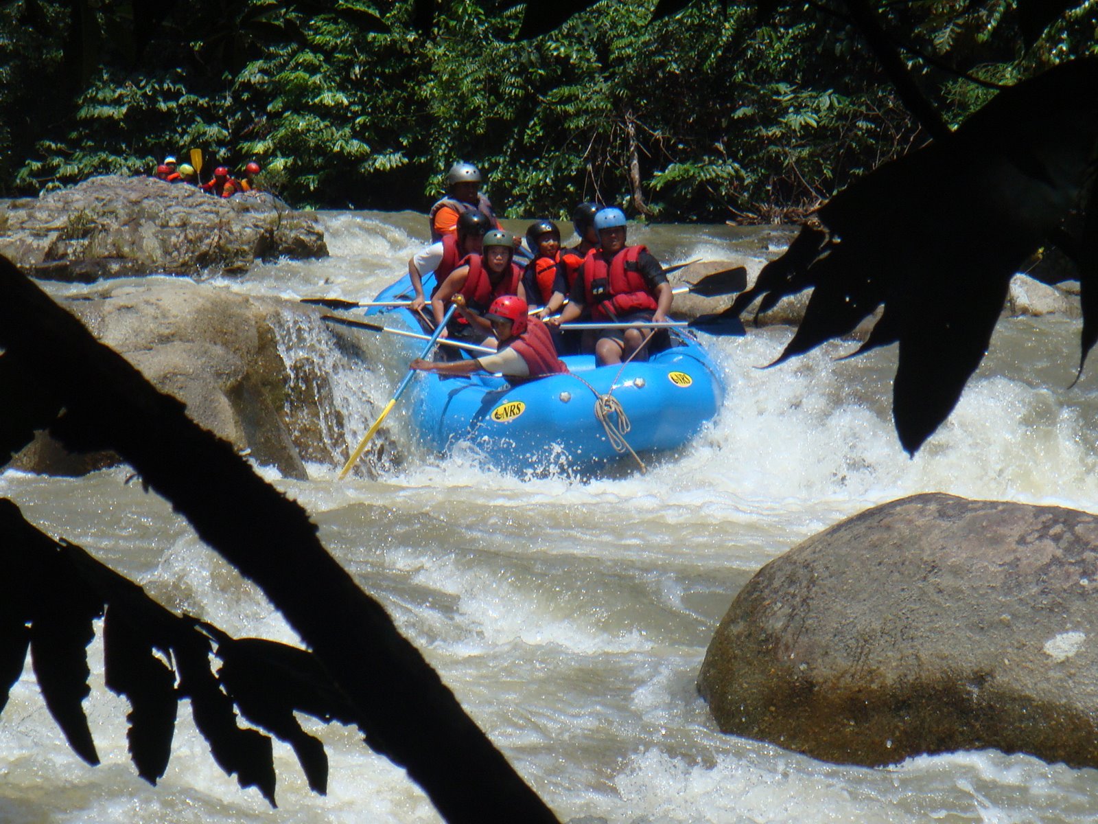 [DSC06774.JPG]