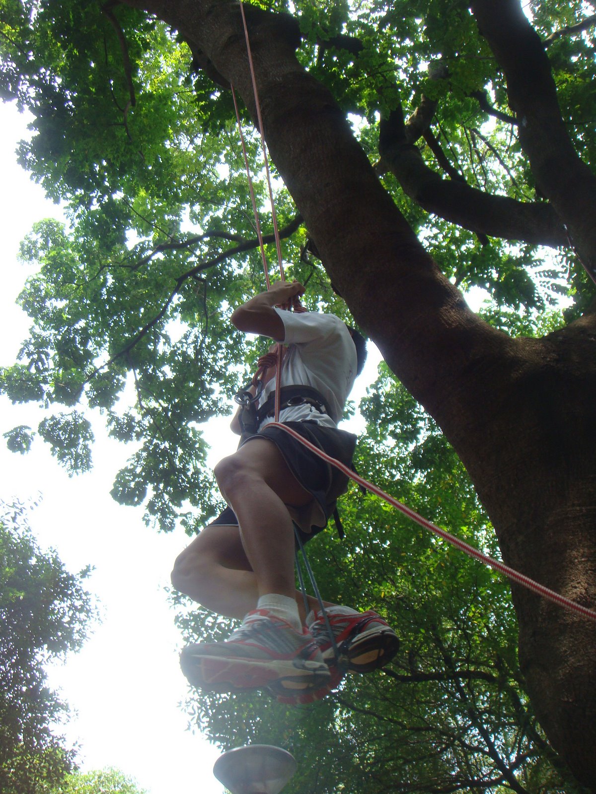 [DSC07121.JPG]