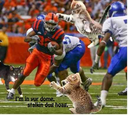 [n1356900163_30035753_8463.jpg]