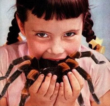 [GirlEatingSpider.jpg]