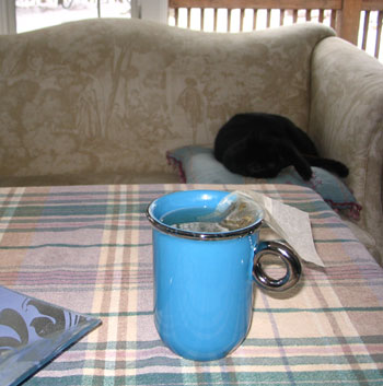 [cupakitty.jpg]