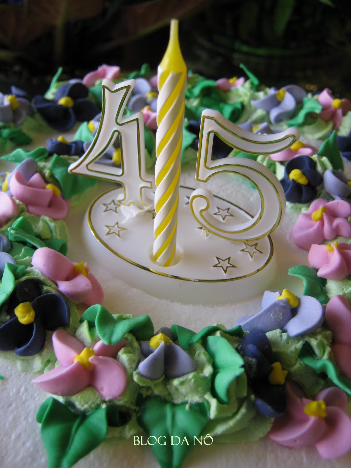 [Bolo_Nô_2009_2.JPG]