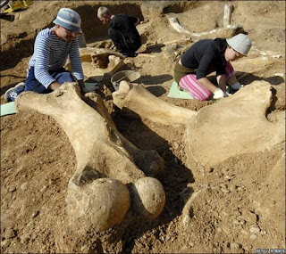 los dinosaurios no existieron??   Una+excavaci%C3%B3n+en+la+sierra+de+Teruel+descubre+nuevos+f%C3%B3siles+del+dinosaurio+m%C3%A1s+grande+de+Europa