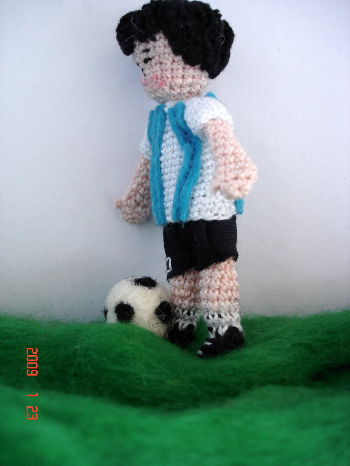 [DSC01089.JPG]