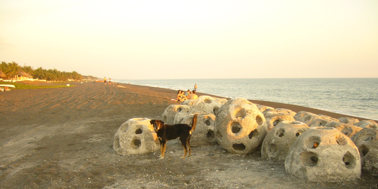 [071228_monterrico_guatemala.JPG]