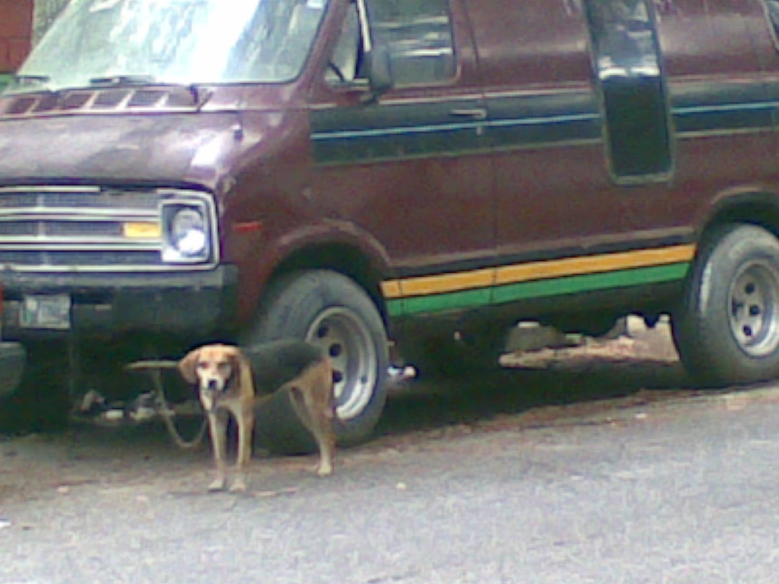 [yatevi+alarma+3.JPG]