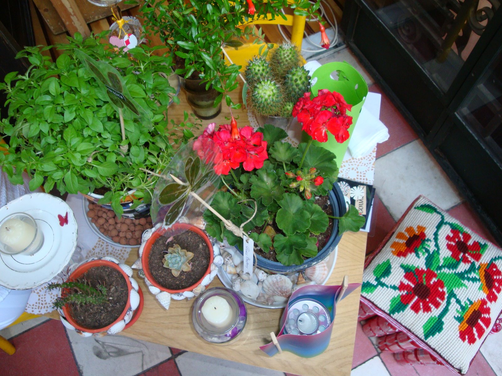 [DSC00664.JPG]
