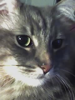 Marvin