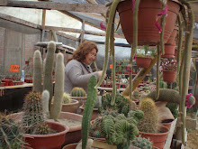 Mi madre en el vivero