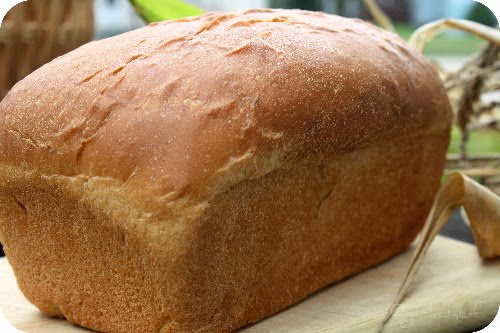 Honey Wheat Bread with Wheat Germ : Ugly Duckling Bakery