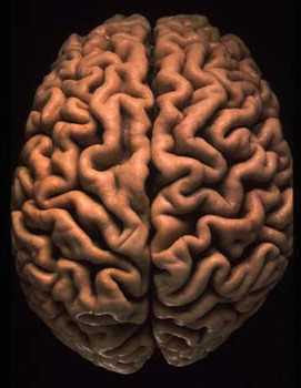 [verlinkte Grafik wurde nicht gefunden]