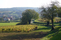 Vue de Martailly