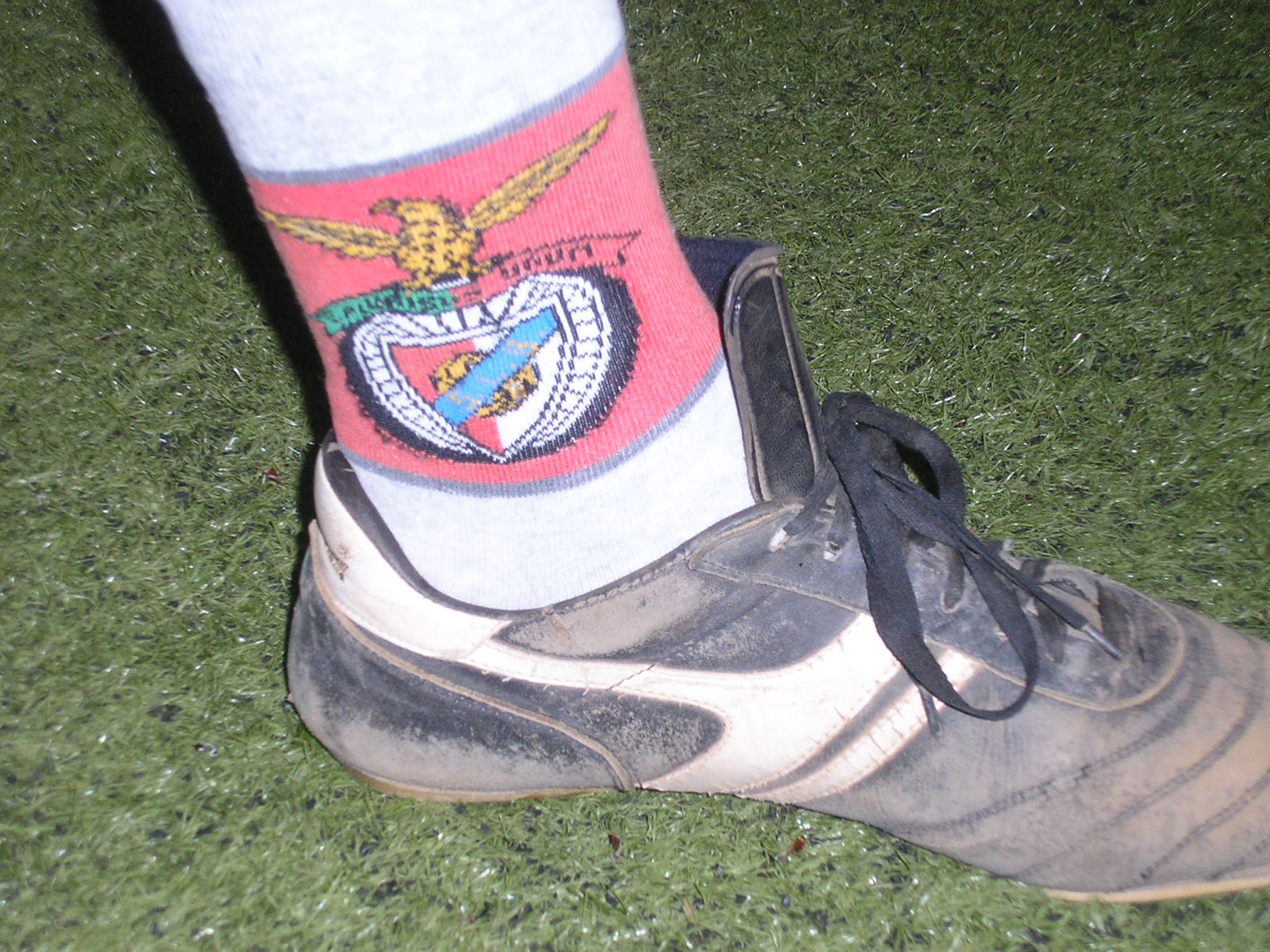 [P4040077.JPG]