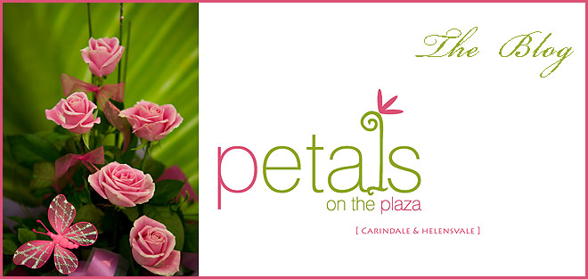 Petals on the Plaza - Carindale & Helensvale