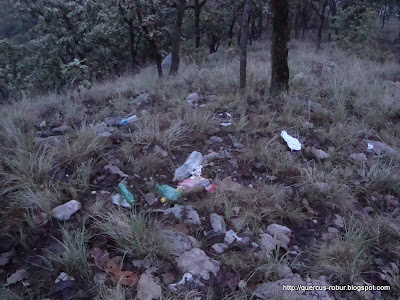 Basura en la cima del Cerro San Francisco