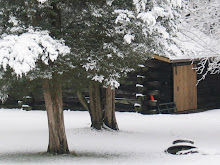 Log Cabin in Winter