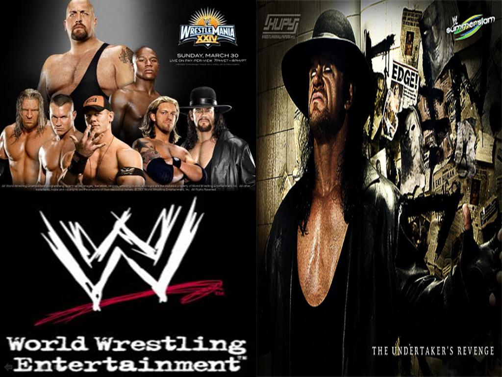 WORLD WRESTLING ENTERTAINMENT World Wrestling Entertainment