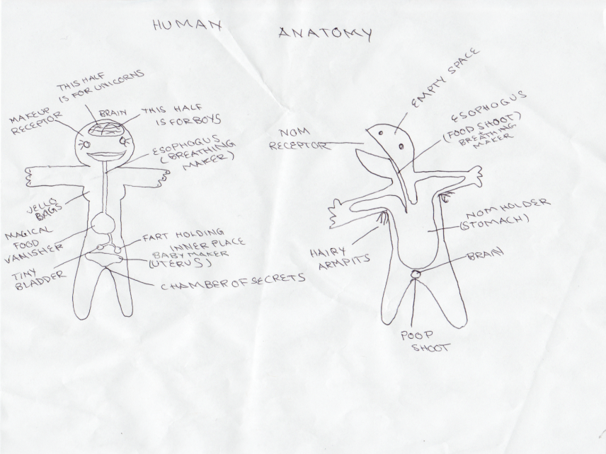 Mainly Mundane: ANATOMY: Boys and girls