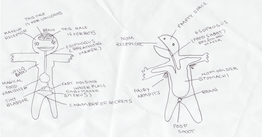 Mainly Mundane: ANATOMY: Boys and girls