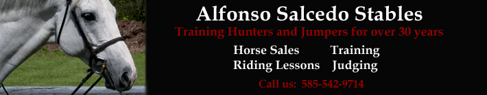 Alfonso Salcedo Stables | Videos