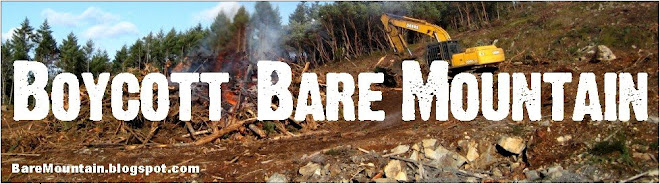 Boycott Bare Mountain