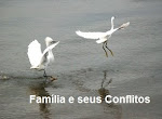 Família e seus Conflitos
