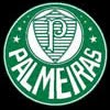 Palmeiras Todo Dia
