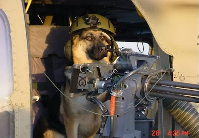 dogs in airsoft  Machine+gunner+dog