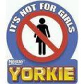 yorkie bar advert dr pepper yorkie bar advert dr pepper