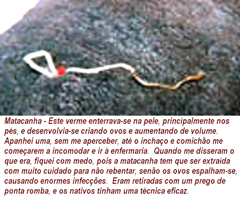 [MatacanhacÃ³pia.jpg]