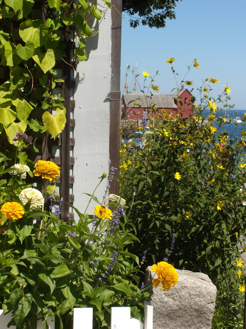Rockport Icon