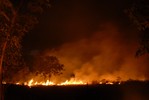 [forest+fire.jpg]