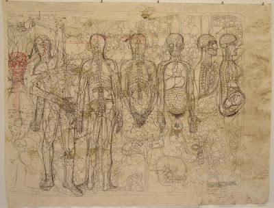 hermann nitsch azionismo viennese