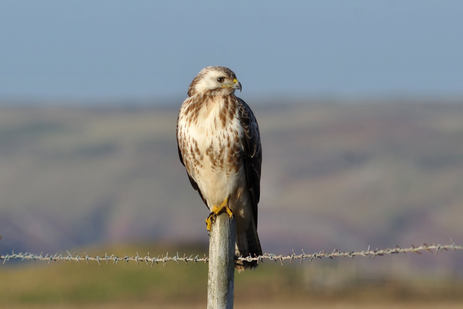 Bosherston Pembrokeshire