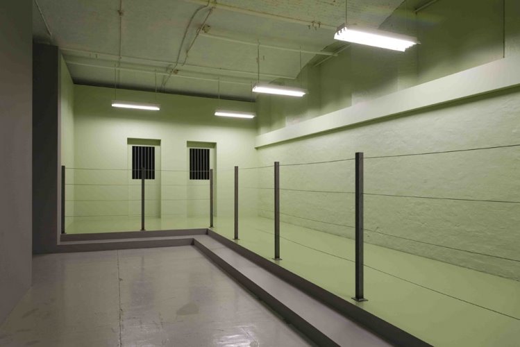 [okapi-01-(klein).jpg.jpeg]