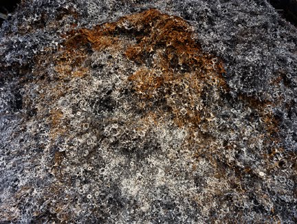 [Ferrous_Bushling_08.JPG.jpeg]