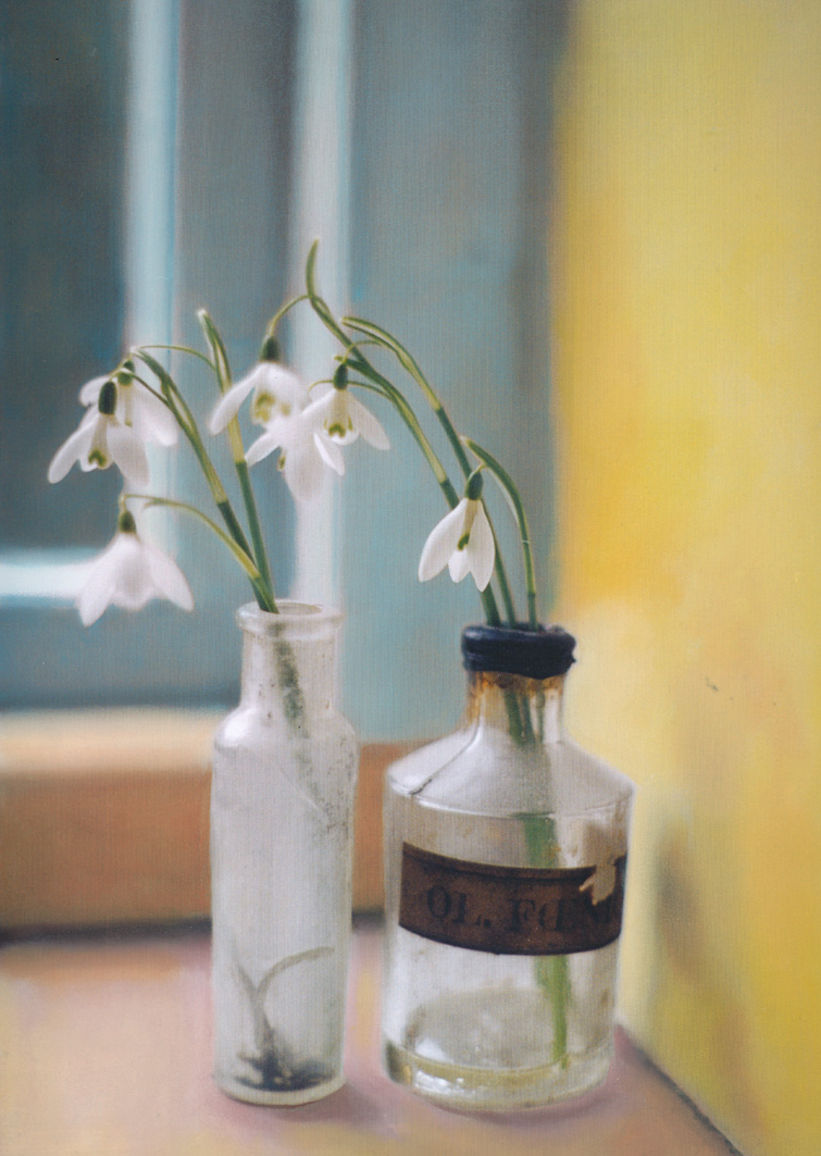 [Snowdrops+1.jpg]