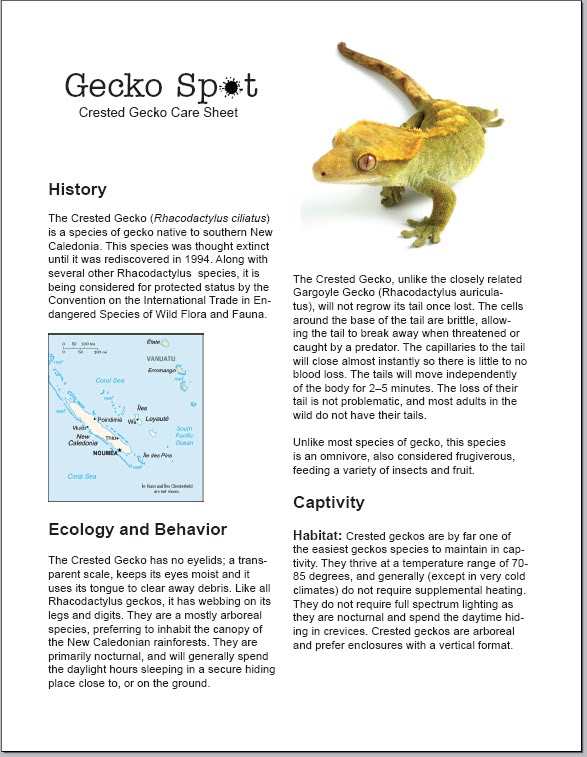 Katieland the happiest place on earth Animals